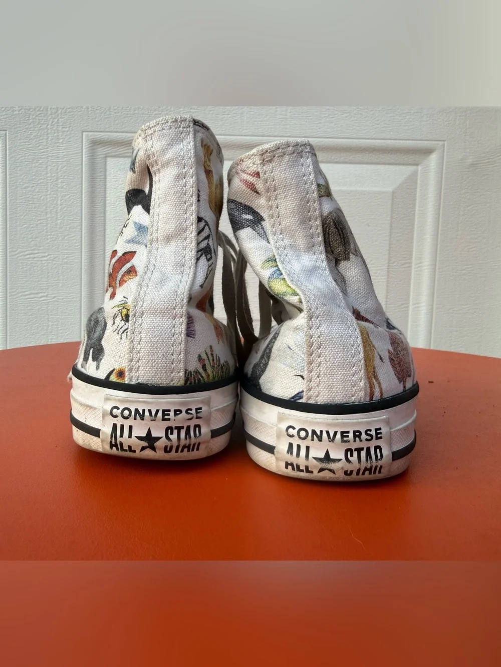 Converse Junior Chuck Taylor All Star Hi sneakers Science Class / Zoo Animals 5